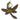 Key Fob - Dragonfly